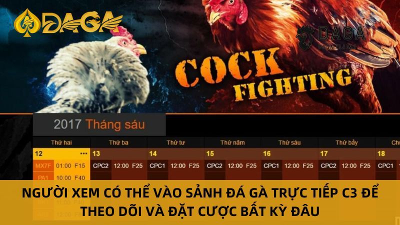 So sánh Đá Gà Trực Tiếp C3 và đá gà kiểu truyền thống