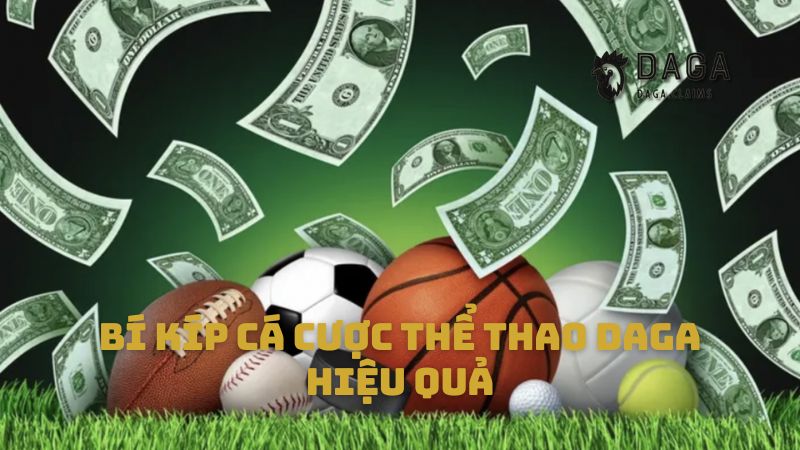 Bí kíp cá cược thể thao Daga hiệu quả